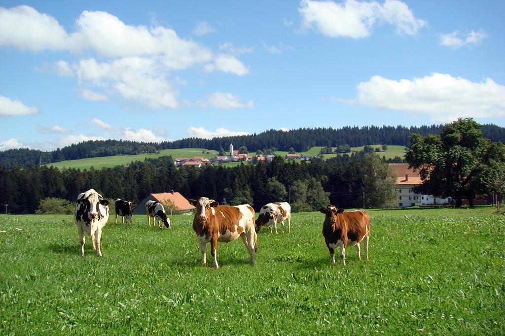 Bio-Bauernhof Heidegger Villa Möggers Eksteriør billede