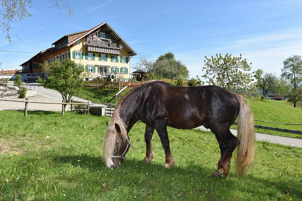 Bio-Bauernhof Heidegger Villa Möggers Eksteriør billede